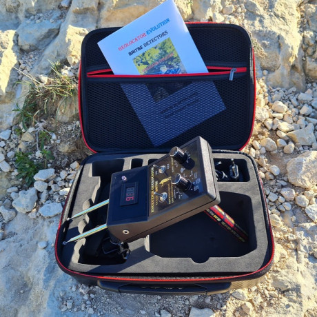 GEOLOCATOR EVOLUTION